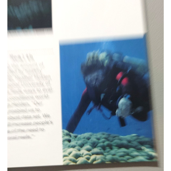 National Geographic Magazine April 2000 Great White Shark Yemen Platypus Nature - Picture 7 of 10